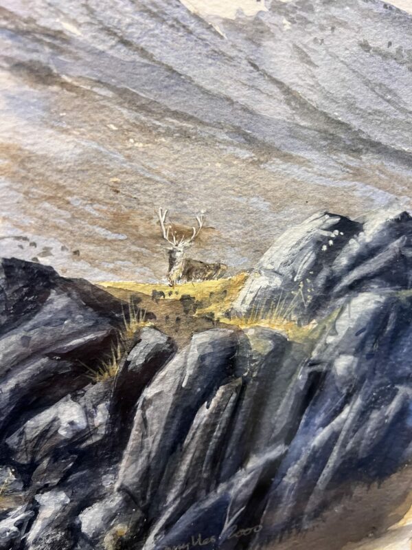 Stag in glen clova watercolour by Peter mylles - Image 2