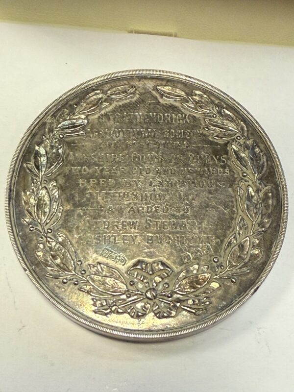 Solid silver agricultural society medal - Image 3